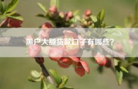 黑户大额贷款口子有哪些？
