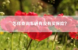 怎样查询车辆有没有买保险？