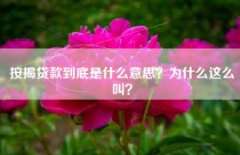 按揭贷款到底是什么意思？为什么这么叫？