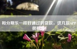 和分期乐一样好通过的贷款，这几款APP很相似！