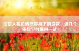 征信太花负债高容易下的贷款，这几个贷款平台值得一试！