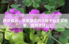 网贷盘点，容易借钱的小额平台贷款名单，值得关注！