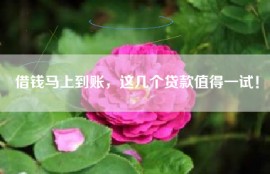 借钱马上到账，这几个贷款值得一试！