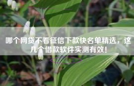 哪个网贷不看征信下款快名单精选，这几个借款软件实测有效！
