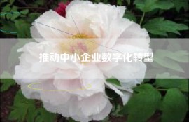 推动中小企业数字化转型