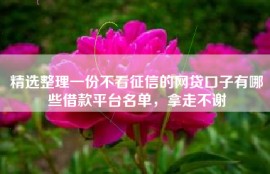 精选整理一份不看征信的网贷口子有哪些借款平台名单，拿走不谢