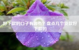好下款的口子有哪些？盘点几个贷款好下款的
