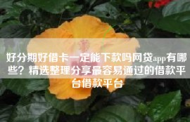 好分期好借卡一定能下款吗网贷app有哪些？精选整理分享最容易通过的借款平台借款平台