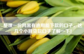 整理一份网黑有逾期能下款的口子，这几个小额贷款口子了解一下！