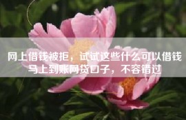 网上借钱被拒，试试这些什么可以借钱马上到账网贷口子，不容错过