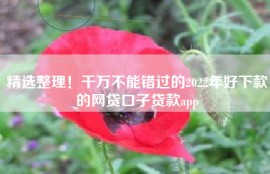 精选整理！千万不能错过的2022年好下款的网贷口子贷款app