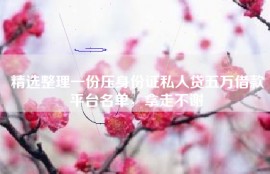精选整理一份压身份证私人贷五万借款平台名单，拿走不谢