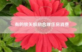 有的放矢鼓励合理住房消费