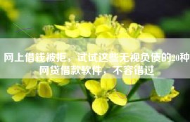 网上借钱被拒，试试这些无视负债的20种网贷借款软件，不容错过