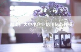 湖南扩大中小企业信用贷款规模