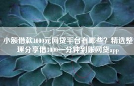 小额借款1000元网贷平台有哪些？精选整理分享借3000一分钟到账网贷app
