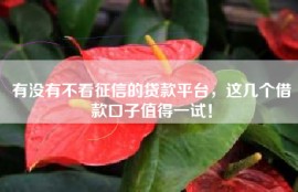 有没有不看征信的贷款平台，这几个借款口子值得一试！