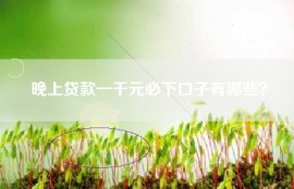 晚上贷款一千元必下口子有哪些？