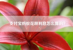 支付宝蚂蚁花呗利息怎么算的？