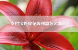 支付宝蚂蚁花呗利息怎么算的？