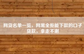 网贷名单一览，网黑全拒能下款的口子贷款，拿走不谢