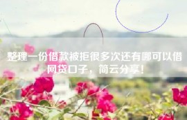 整理一份借款被拒很多次还有哪可以借网贷口子，简云分享！