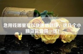 急用钱哪里可以快速借到钱，这几个小额贷款值得一试！