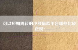 可以短期周转的小额借款平台哪些比较正规?