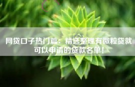 网贷口子热门篇：精选整理有微粒贷就可以申请的贷款名单！