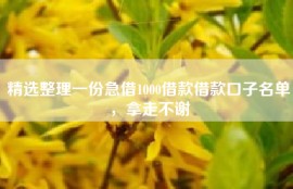精选整理一份急借1000借款借款口子名单，拿走不谢