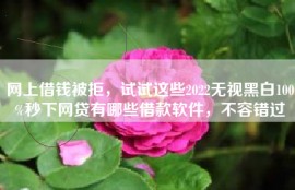 网上借钱被拒，试试这些2022无视黑白100%秒下网贷有哪些借款软件，不容错过
