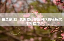 精选整理！急需要钱哪里可以借钱贷款，不容错过