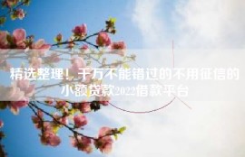 精选整理！千万不能错过的不用征信的小额贷款2022借款平台