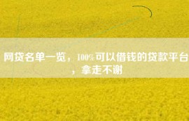 网贷名单一览，100%可以借钱的贷款平台，拿走不谢
