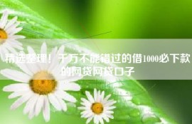 精选整理！千万不能错过的借1000必下款的网贷网贷口子