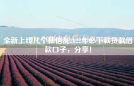 全新上线几个征信乱2022年必下款贷款借款口子，分享！