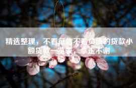 精选整理，不看征信不看负债的贷款小额贷款一览表，拿走不谢