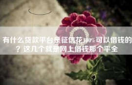 有什么贷款平台是征信花100%可以借钱的？这几个就是网上借钱那个平全