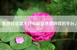 急用钱征信不好可以快速借到钱的平台。