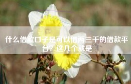 什么借款口子是可以借两三千的借款平台？这几个就是