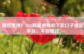 精选整理！2022双黑逾期必下款口子借款平台，不容错过
