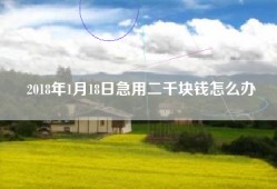 2018年1月18日急用二千块钱怎么办