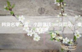 网贷名单一览，小额借钱2000贷款app，拿走不谢