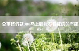 免审核借款5000马上到账不看征信的有哪些?