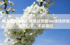 网上借钱被拒，试试这些借3000块钱秒到借款口子，不容错过