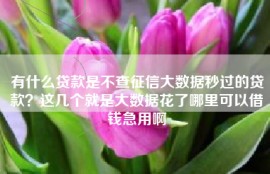 有什么贷款是不查征信大数据秒过的贷款？这几个就是大数据花了哪里可以借钱急用啊