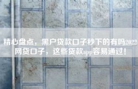 精心盘点，黑户贷款口子秒下的有吗2022网贷口子，这些贷款app容易通过！