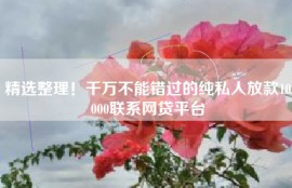 精选整理！千万不能错过的纯私人放款10000联系网贷平台