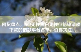 网贷盘点，2022无视黑白无视征信申请就下款的借款平台名单，值得关注！