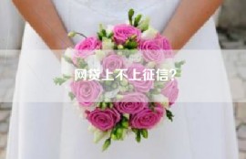 网贷上不上征信？
